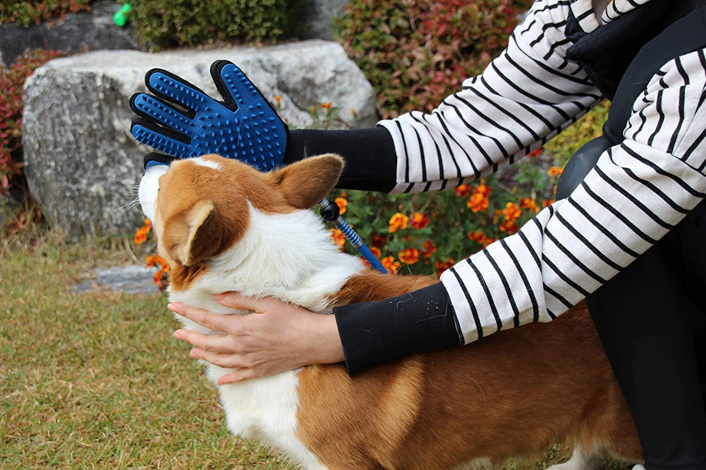 Dog Shower Glove