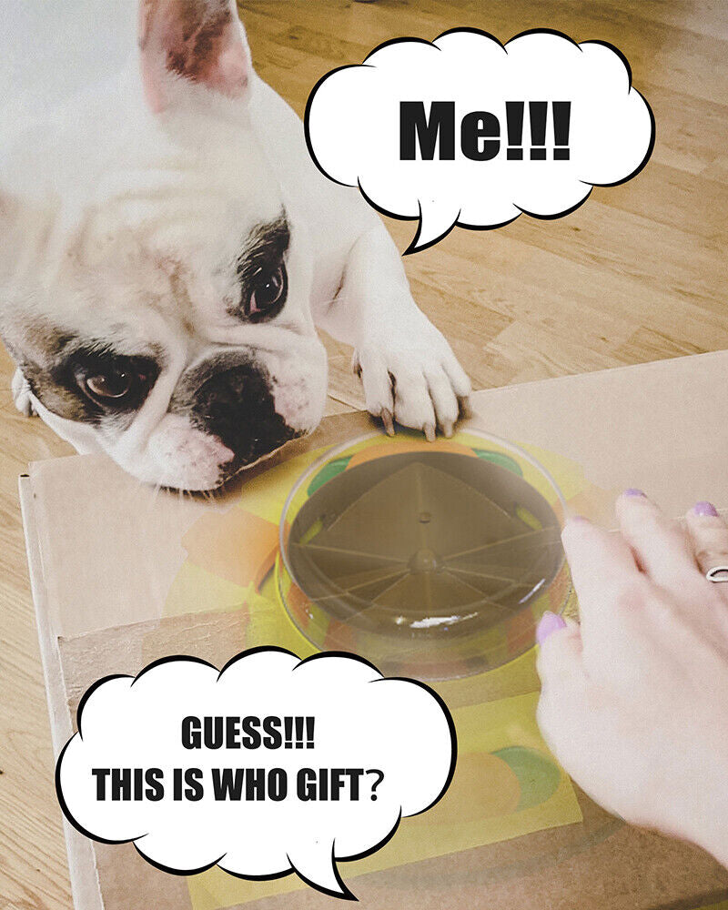 Dogs Puzzle Toy Enrichment Pet Slow Feeder Dispenser for Food and Treat US