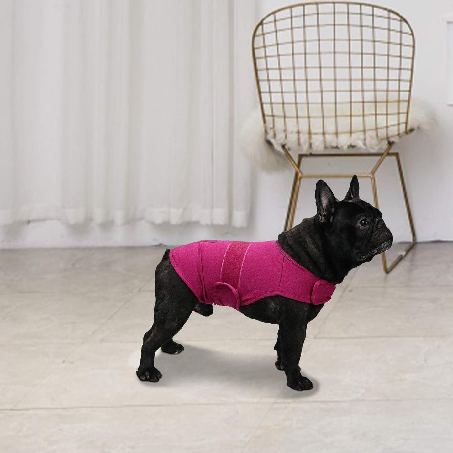 Comfort Dog Anxiety Relief Coat, Dog Anxiety Calming Vest Wrap for Thunderstorm,Travel,4Th of July Fireworks,Vet Visits,Separation (M,Rose)