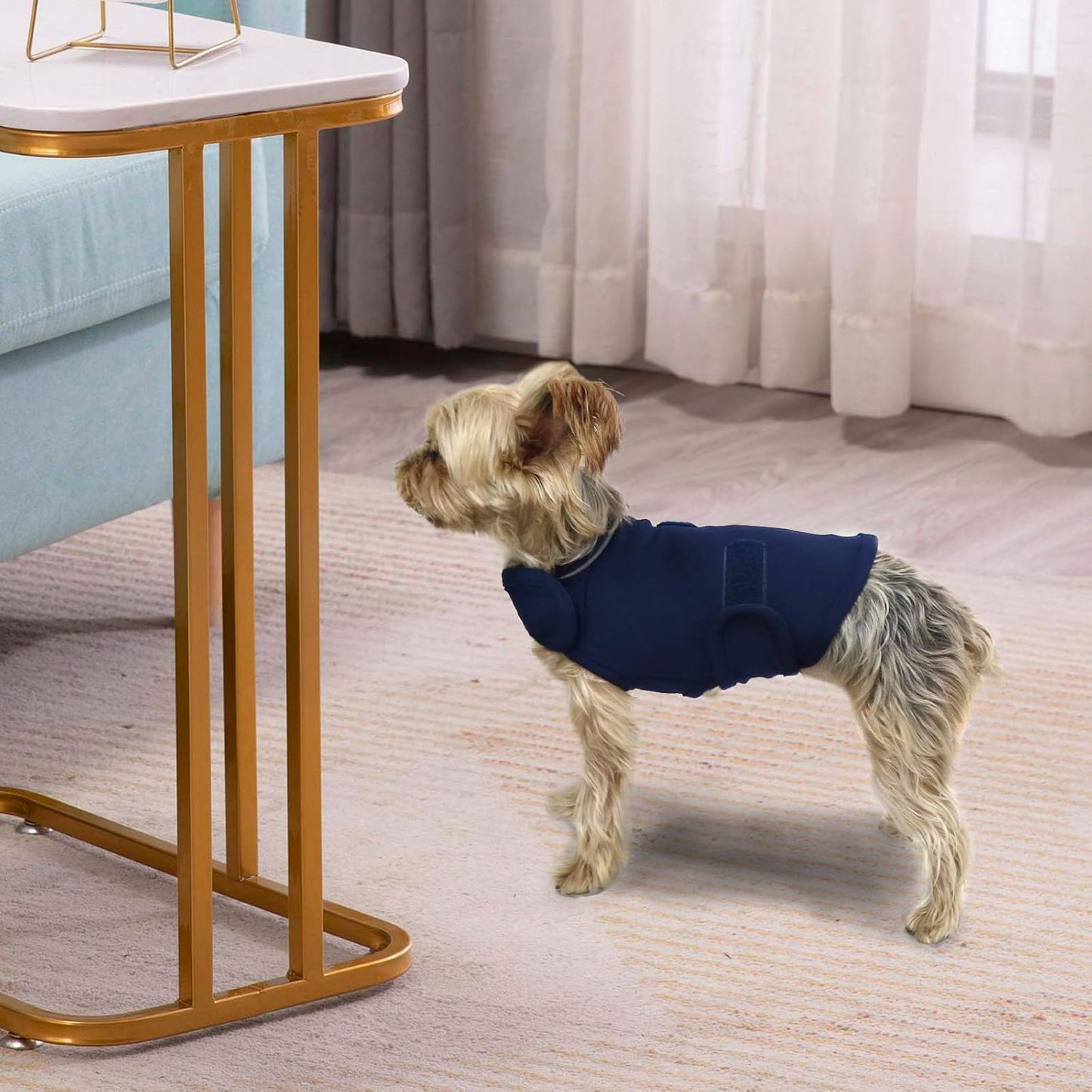 Comfort Dog Anxiety Relief Coat, Dog Anxiety Calming Vest Wrap for Thunderstorm,Travel,4Th of July Fireworks,Vet Visits,Separation Anxiety Relief for Dogs (X-Small (Pack of 1), Navy)