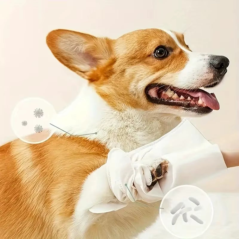 Pet Cleaning Glove Wipes Disposable Pet Grooming Glove for Cats & Dogs, 6 Pieces per Pack, Pet Cleaning Supplies